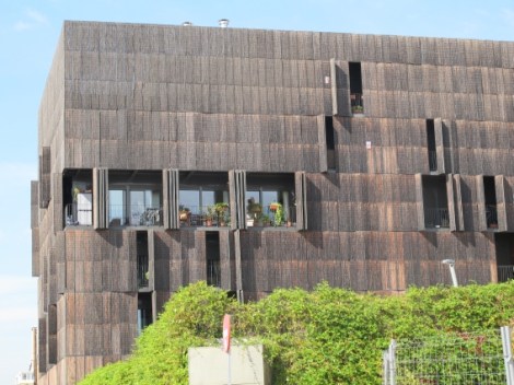 201409_PAU Carabanchel12